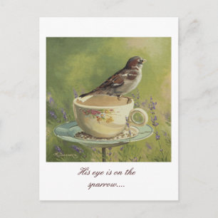 0470 Sparrow Postcard