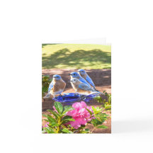 050 Bluebirds Forever Note Card 4.25x5.5 Matte