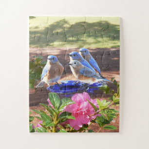 050 Bluebirds Forever Puzzle 11x14 Kids