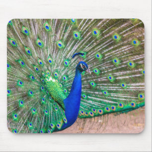 0601-Peacock Mouse Pad