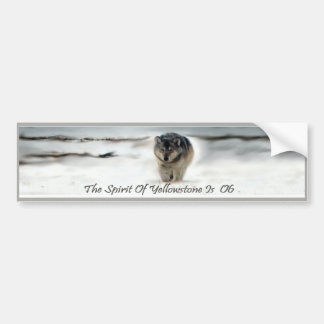 06 The Legend Of Lamar Valley Bumper Sticker