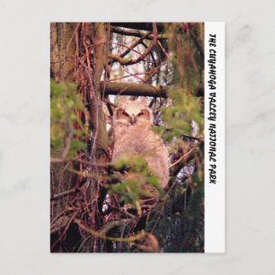 070406-31-APC POSTCARD
