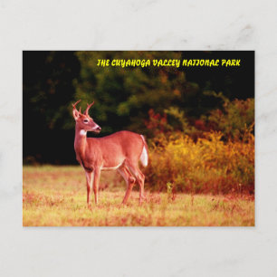 070406-58-APC POSTCARD