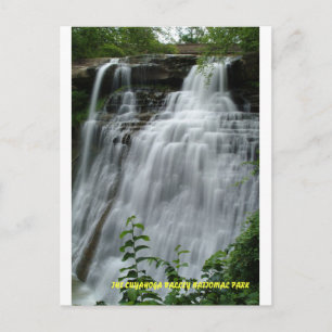 071809-314PC POSTCARD