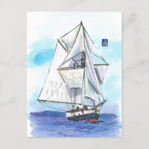 (078) Jolly Breeze Sailboat Postcard