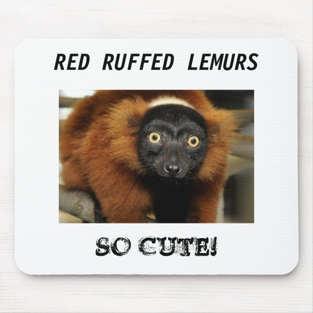 080725-red-ruffed-02, RED RUFFED LEMURS, SO CUTE! Mouse Pad (Front)