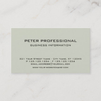 08 Modern Professional Business Card colour reed