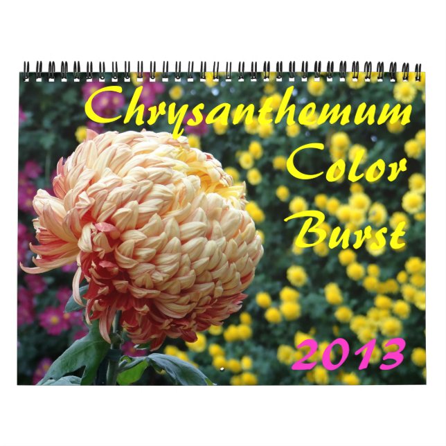 0 2013 Chrysanthemum Colour Burst Calendar (Cover)
