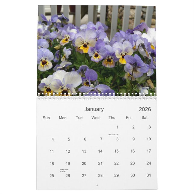 0 Pansies, Pretty Pansies Calendar (Jan 2026)