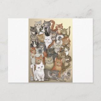 1000 cats postcard