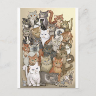 1000 cats postcard