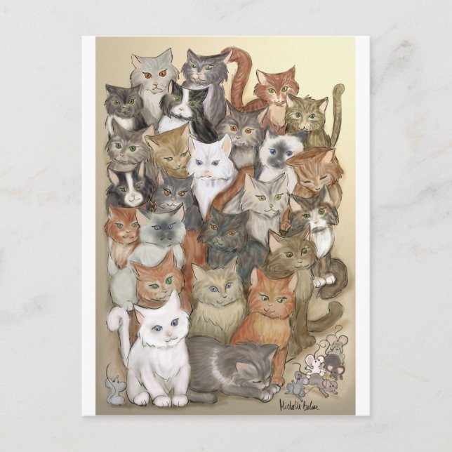 1000 cats postcard (Front)