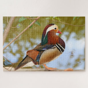1000 piece Mandarin duck Jigsaw Puzzle