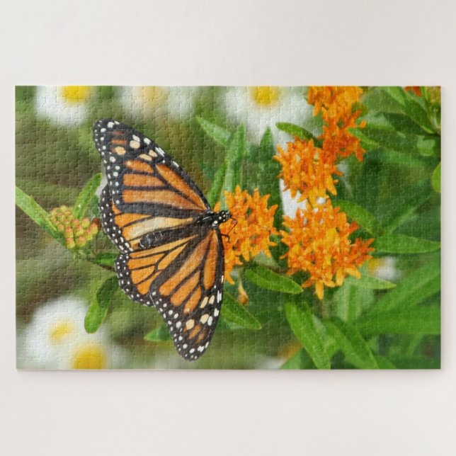 1000 piece Monarch on Butterfly Weed Jigsaw Puzzle (Horizontal)