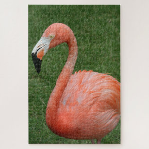 1000 piece Pink Flamingo Jigsaw Puzzle