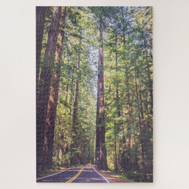 1000 Piece Puzzle Humboldt Trees Redwood Forest  (Vertical)