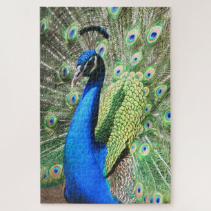 1000 piece Stunning Peacock Photo Jigsaw Puzzle