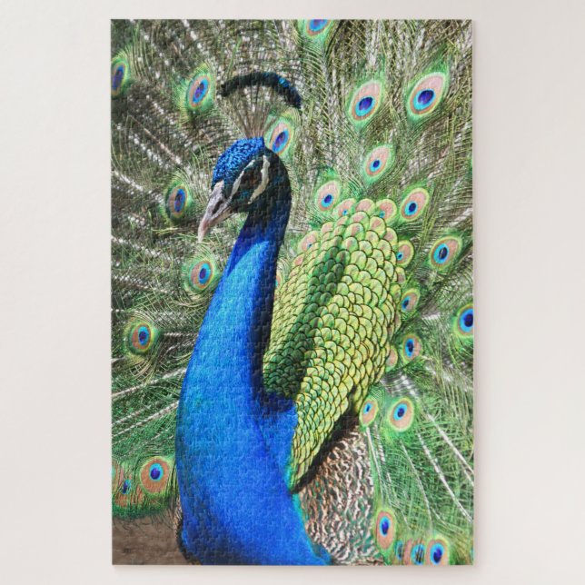1000 piece Stunning Peacock Photo Jigsaw Puzzle (Vertical)