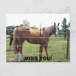 100_0415, MISS YOU! POSTCARD