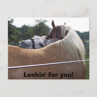 100_0416, Lookin' for you! Postcard