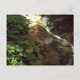 100_0500 Post Card
