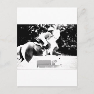 100_0760-1 Hunter/Jumper child Postcard