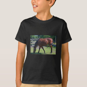 100_0830-1 Child's horse Tee Shirt