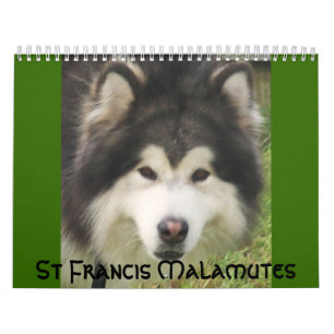 100_2382, St Francis Malamutes Calendar