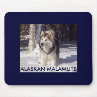 100_5815, ALASKAN MALAMUTE MOUSE PAD