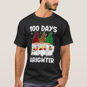 100 Days Brighter Gnomes Student Teacher 100th Day T-Shirt