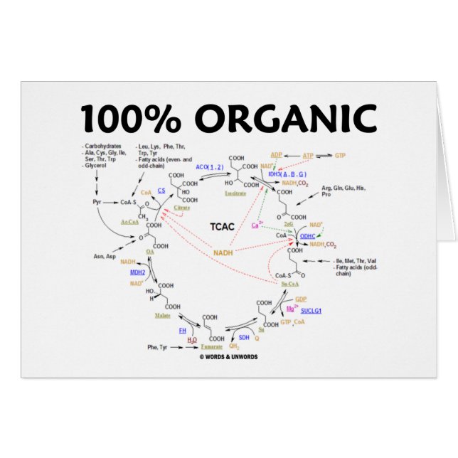 100% Organic (Citric Acid Cycle - Krebs Cycle) (Front Horizontal)
