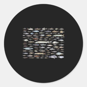 100 Types Of Freshwater Fish Species Fishing Classic Round Sticker