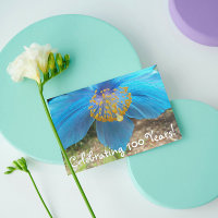 100th Birthday Blue Poppy Floral