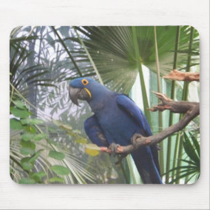 101_0361 MOUSE PAD