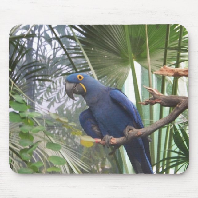 101_0361 MOUSE PAD (Front)