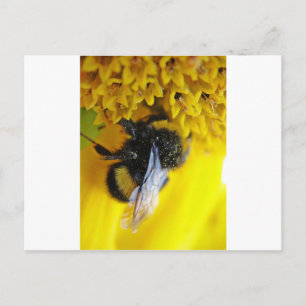101.JPG POSTCARD