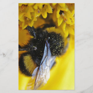 101.JPG STATIONERY