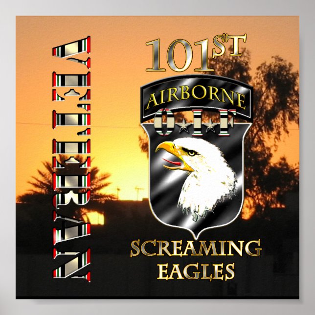 101st Airborne Division OIF Veteran Poster (Front)