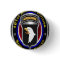 101st Airborne Division Screaming Eagles