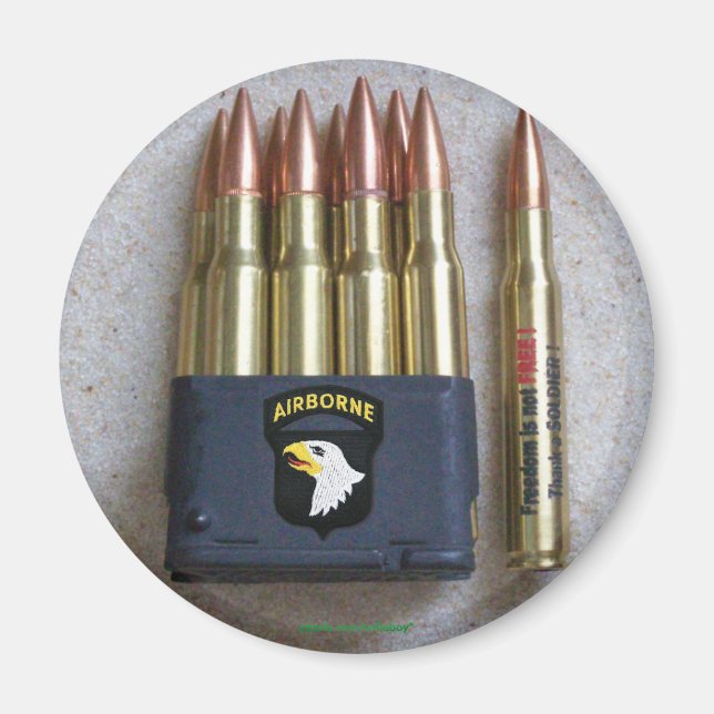 101st airborne division veterans vets war magnet (Front)