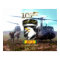 101st Airborne Division Vietnam Veteran v2
