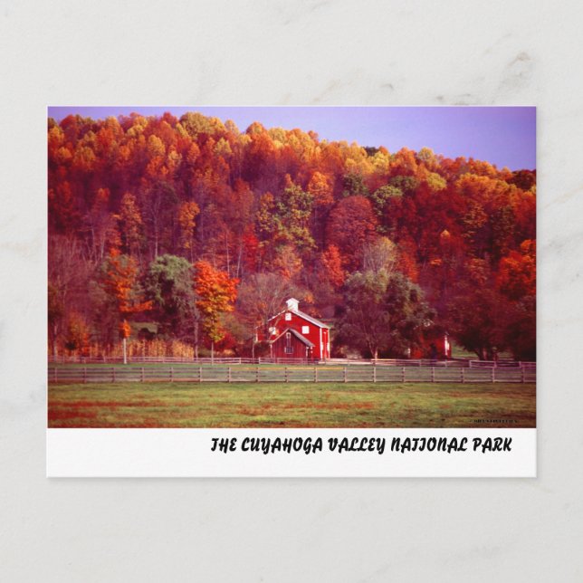 102701-16PC POSTCARD (Front)