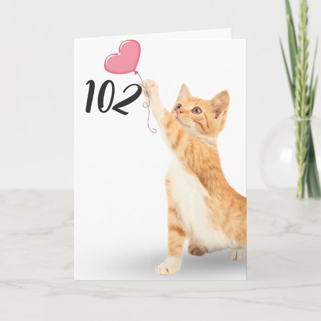 102nd birthday tabby cat card (Front)