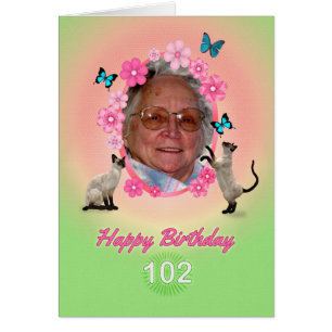 102nd photo card with cats and butterflies,
