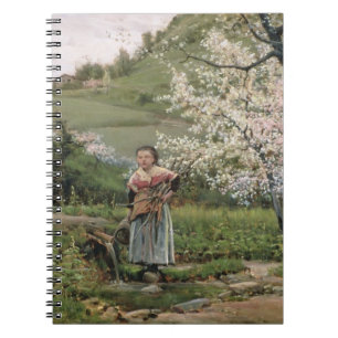 103-0066598/2 Spring Notebook