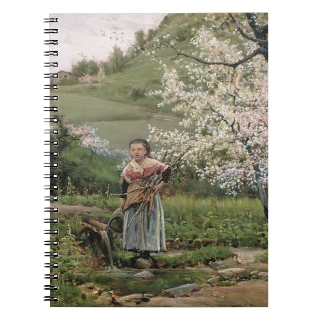 103-0066598/2 Spring Notebook (Front)