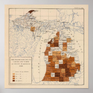 104 Cancer, tumour Michigan Poster