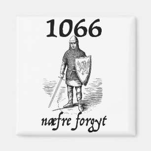 1066 Never Forget Naefre Forgyt Funny English Hist Magnet