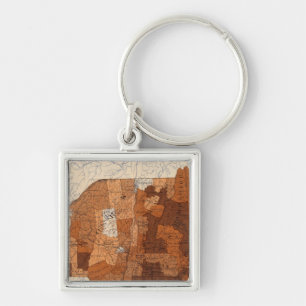 107 Influenza NY, NJ, New England Key Ring