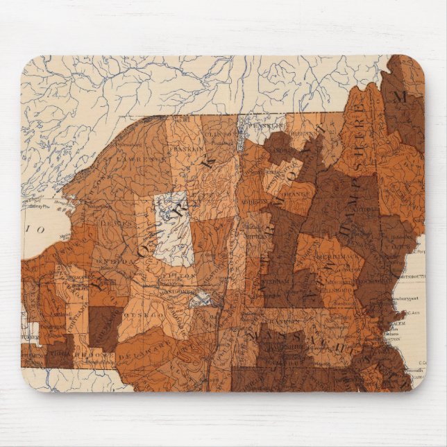 107 Influenza NY, NJ, New England Mouse Pad (Front)